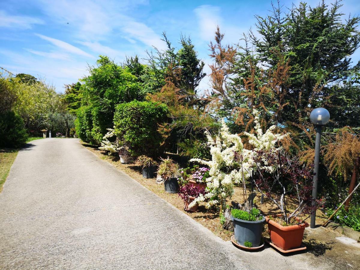 Vacanze Al Mare Appartamento In Villa Torino di Sangro Exteriör bild